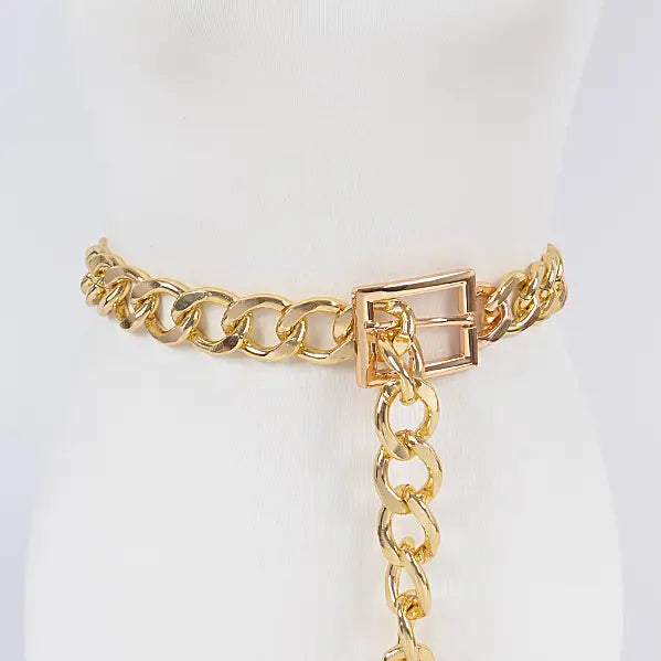 Chain Link Belt