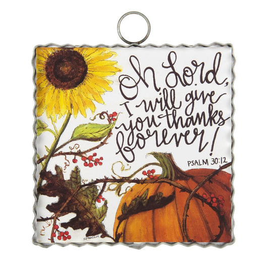 RTC - Mini Thanks Psalm 30:12