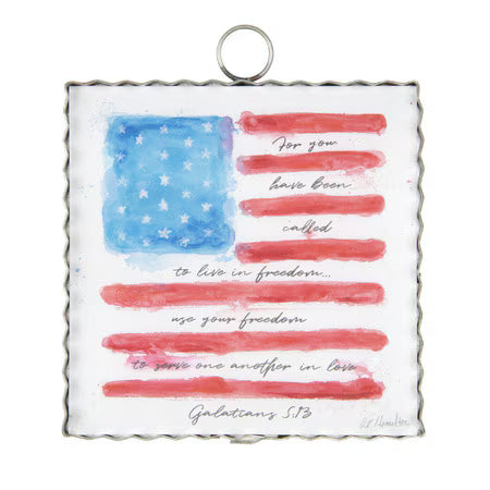 RTC - Amer Flag Galations 5:13 Mini